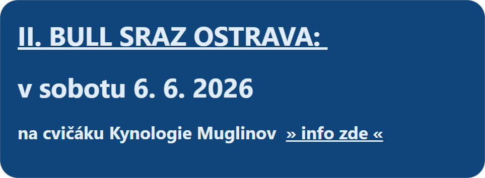 Ostravský sraz
