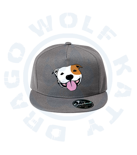 Snapback kšiltovka s výšivkou SBT cartoon