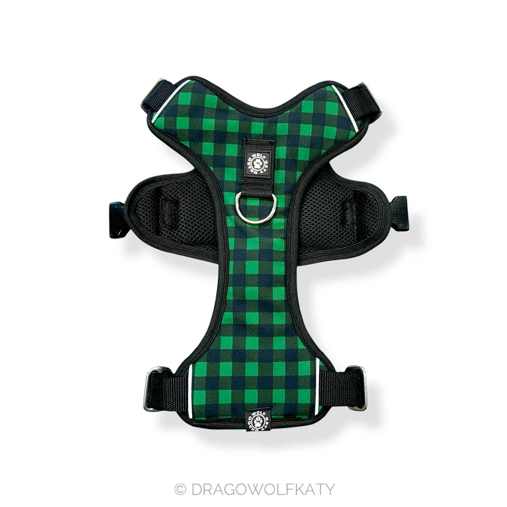 Postroj Street - Flanel Green