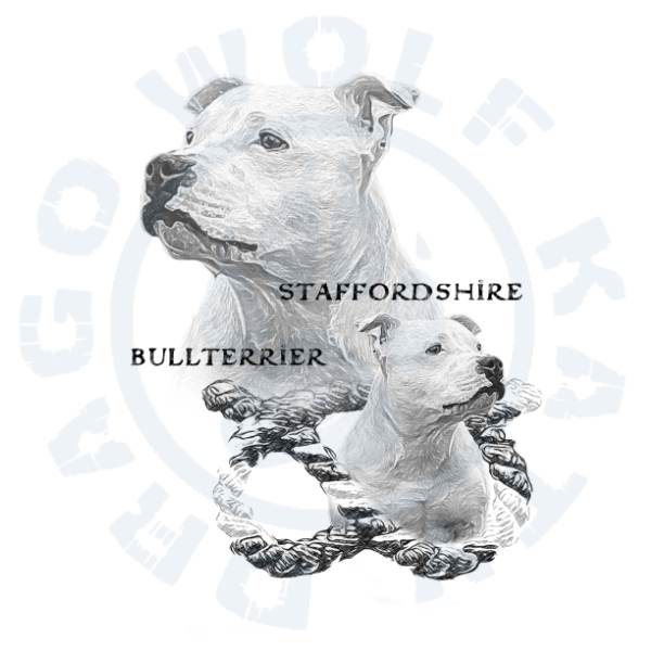 Staffbull Balthazar