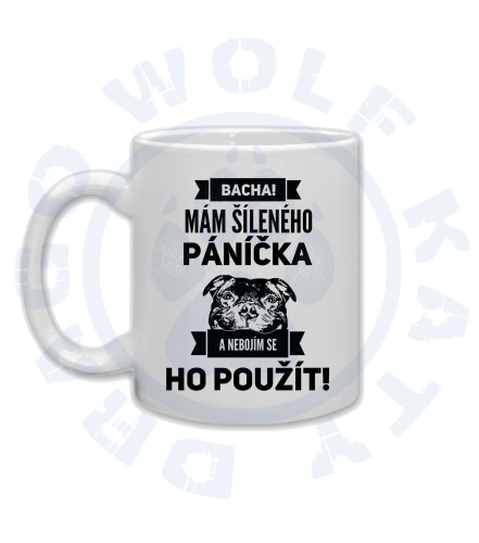 Šílený páníček
