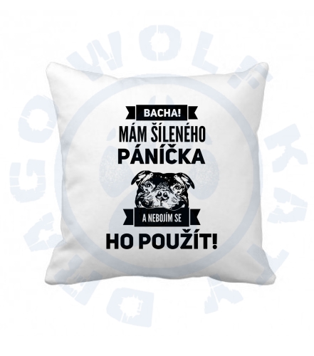 Šílený páníček