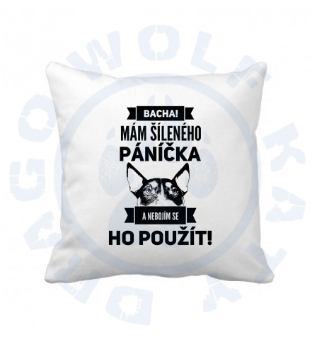 Polštář s povlakem Šílený páníček Bulík