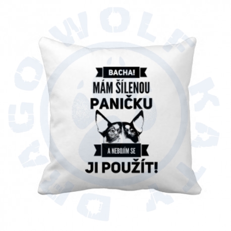 Polštář s povlakem Šílená panička Bulík