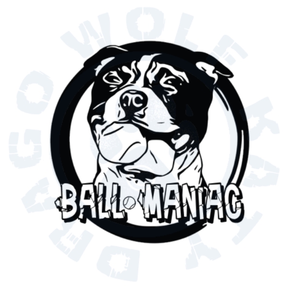 Ball maniac