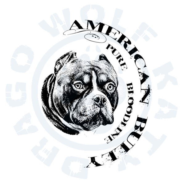 Dámské triko Pure - American Bully pure bloodline