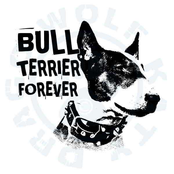 Dětské body - Bullterrier forever 2020