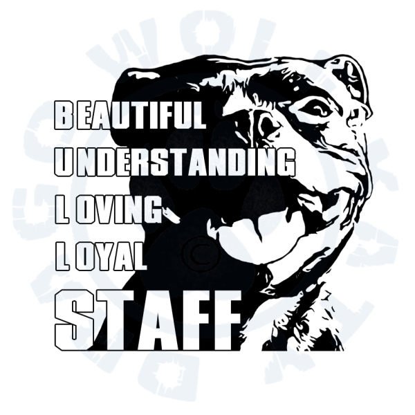 Staffbull loyal