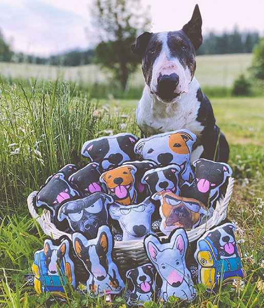 Klíčenka DWK - Bullčičák Bullterrier - Nečum na mě