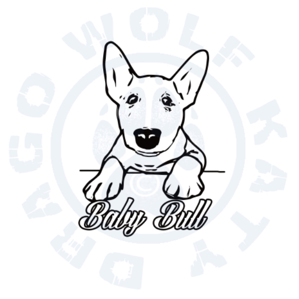 Baby Bull