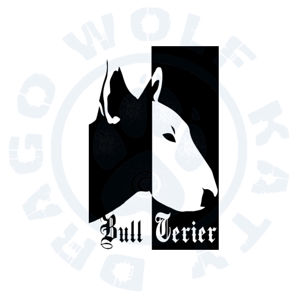 Bullterrier black white
