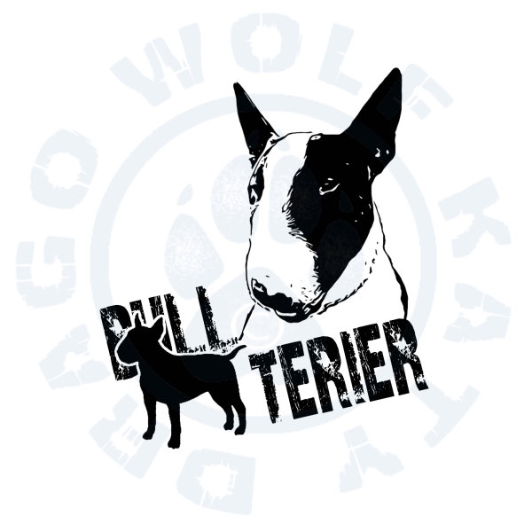 Bullterrier Hany