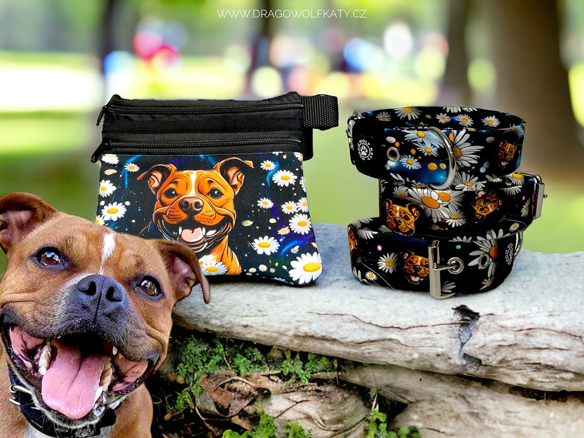 Obojek Staffbull Daisies