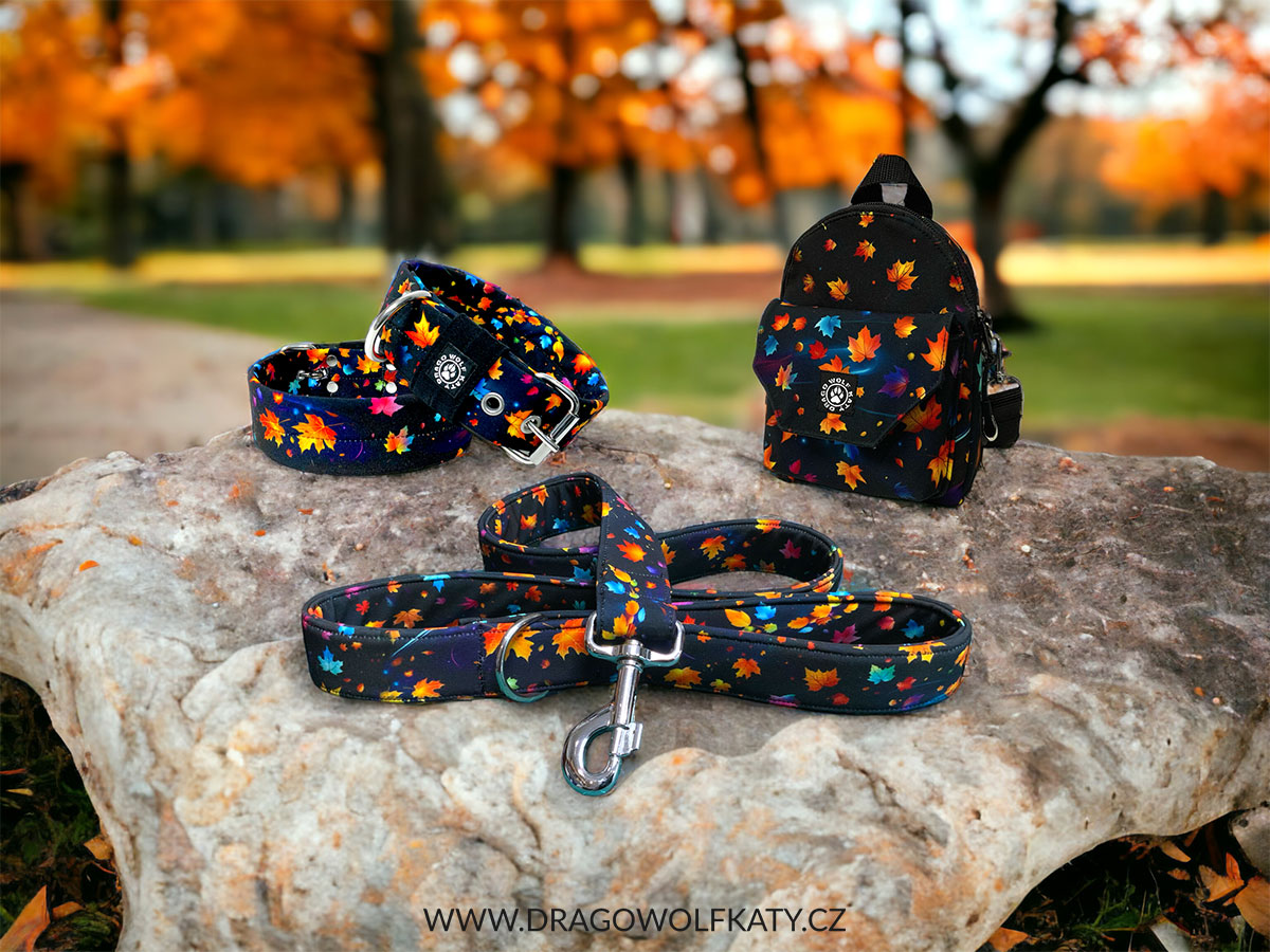 Vodítko DWK - Podzim