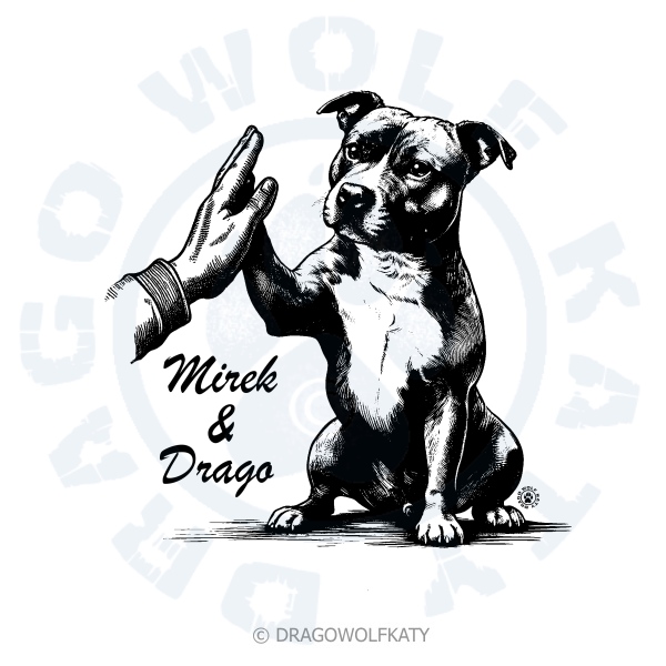 Pánské triko Basic - Staffbull High Five