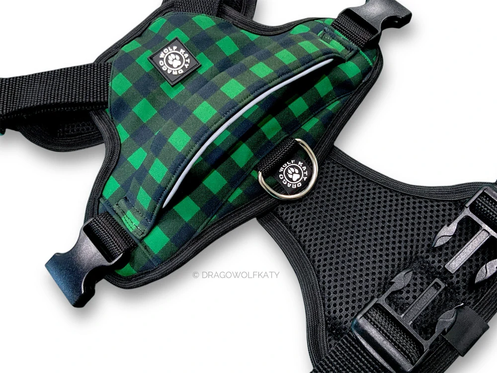 Postroj Street - Flanel Green
