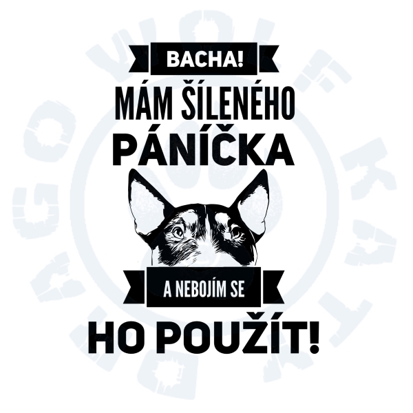 Polštář s povlakem Šílený páníček Bulík