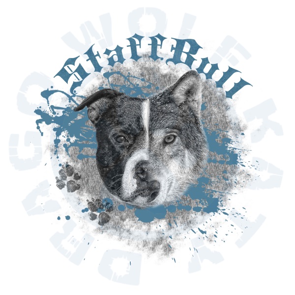 Dětské triko Basic - Drago Wolf