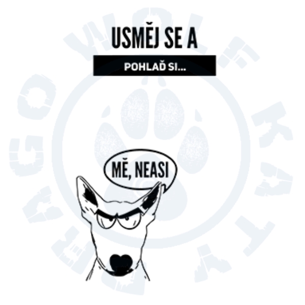 Pánské triko Fit - T Long Sleeve - Pohlaď si Bulíka