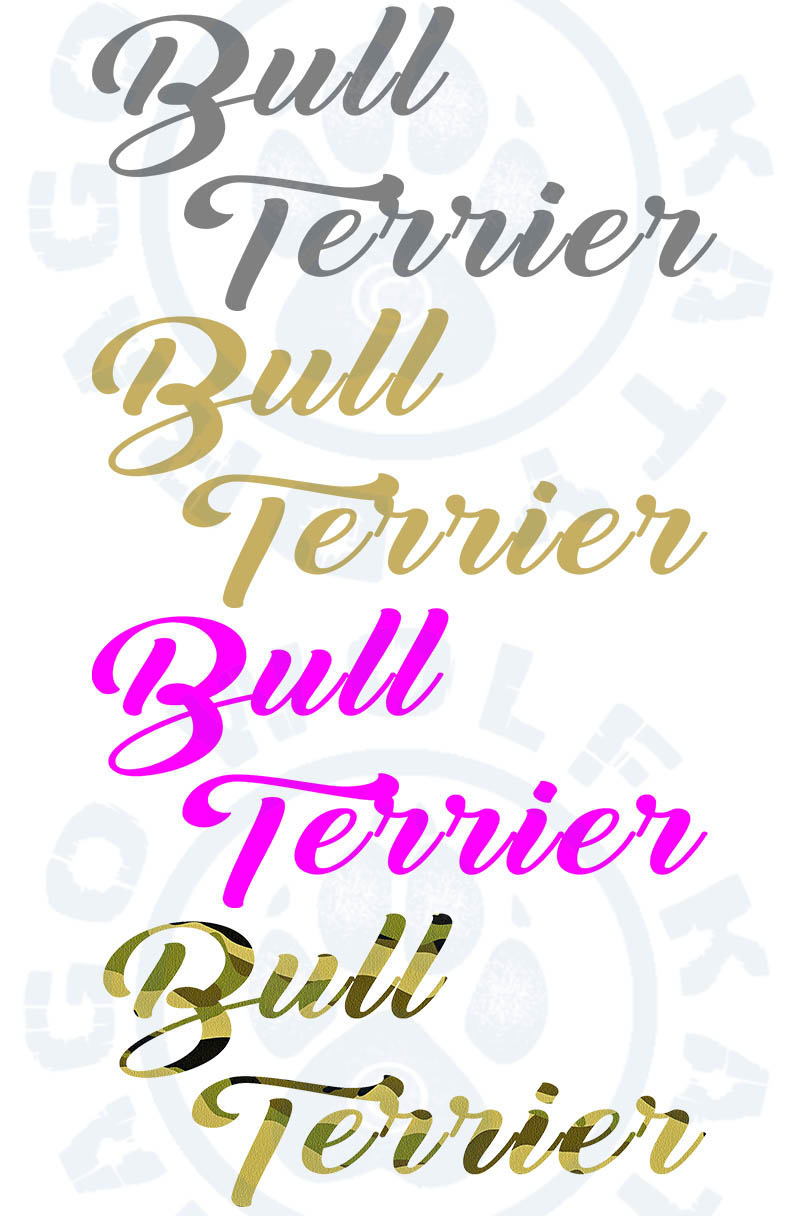 5P kšiltovka Bull Terrier