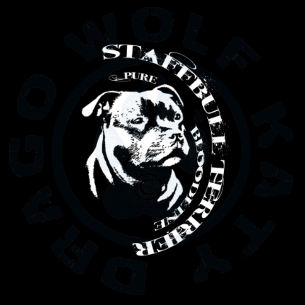 Pánské šortky Comfy -  SBT pure bloodline