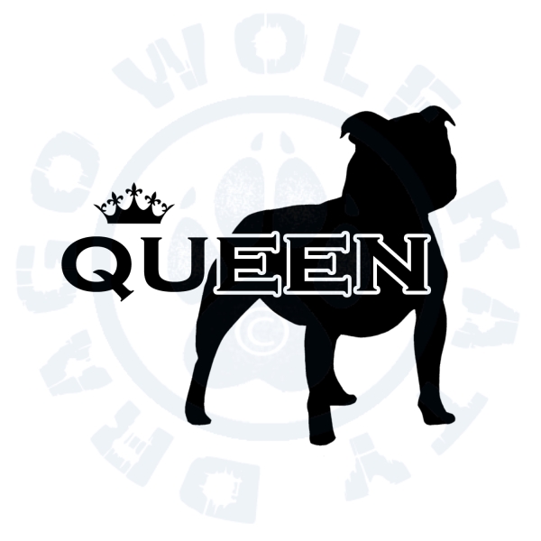 SBT Queen