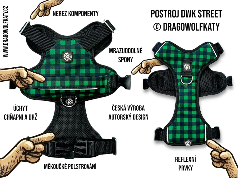 Postroj Street - Flanel Green