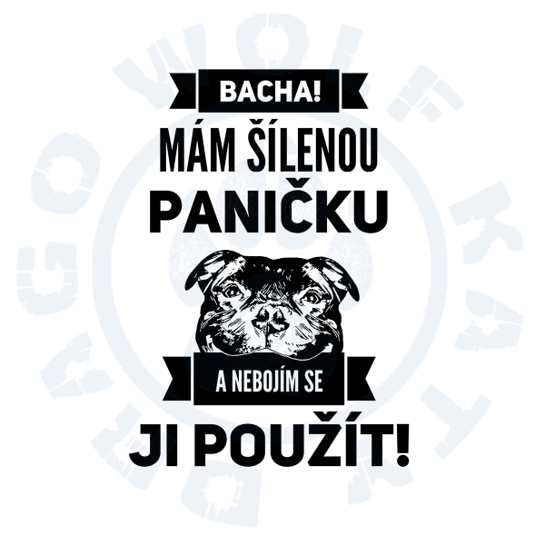 Šílená panička