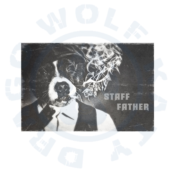 Pánské triko - Staff Father