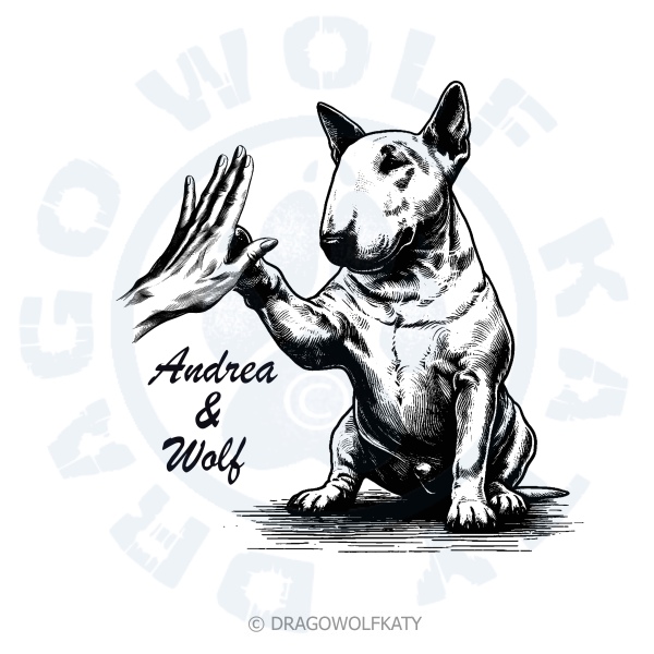Mikinové šaty - Bullterrier High Five