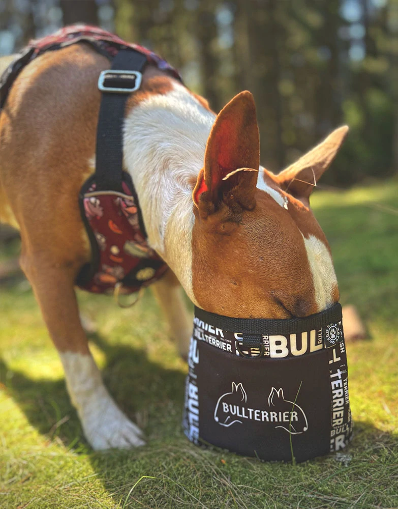 Pamlskovník Street - Bullterrier word