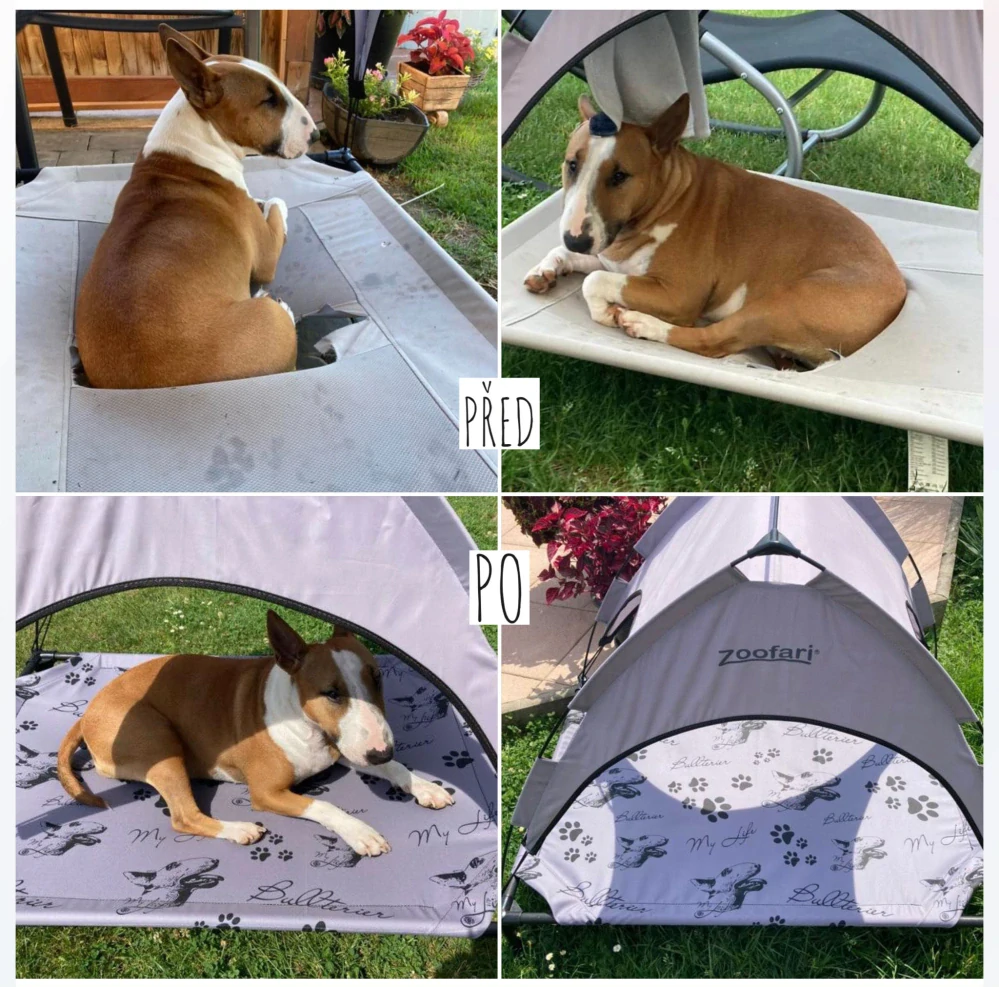 Potah - Staffbull my Life