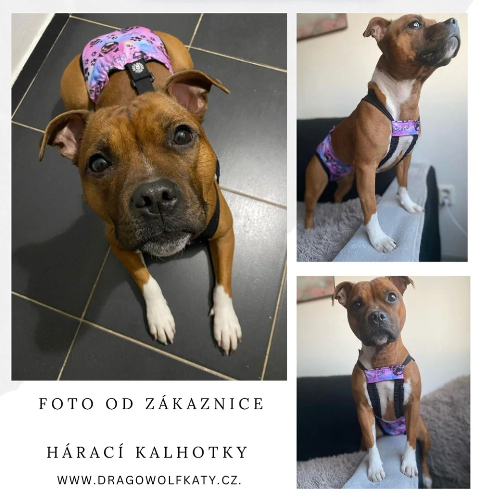 Hárací kalhotky - Staffbull My Life duhový