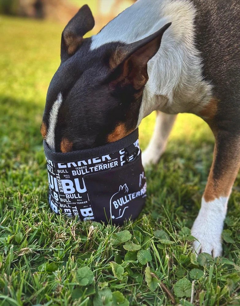 Pamlskovník Street - Bullterrier word