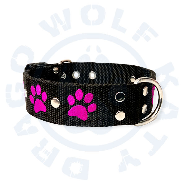 Obojek s výšivkou - Tlapky