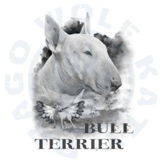Bull Terrier Alf angel 2019