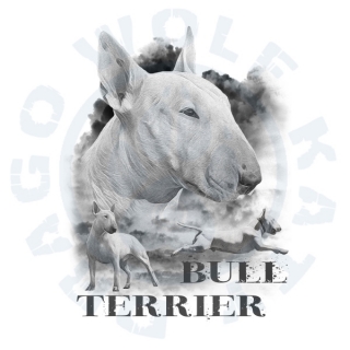 Bull Terrier Alf 2019
