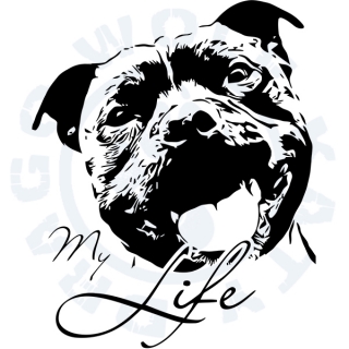 SBT My life 2