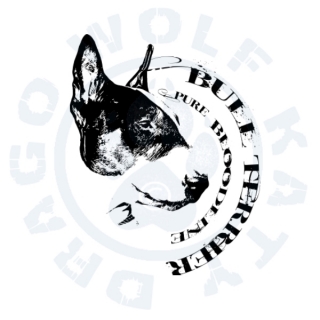 Bullterrier Pure Bloodline
