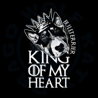 Bullterrier King Of my Heart