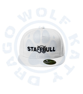 Snapback kšiltovka s výšivkou Staffbull Word