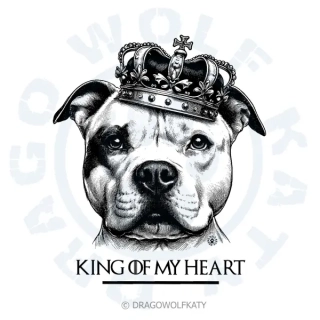 Staffbull King Of My Heart