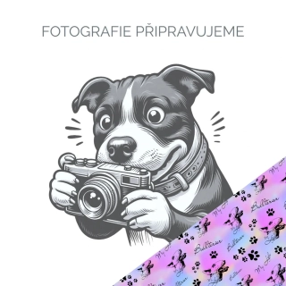 Hárací kalhotky - Bullterrier My Life duhový