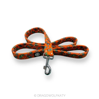 Vodítko DWK - T-rex