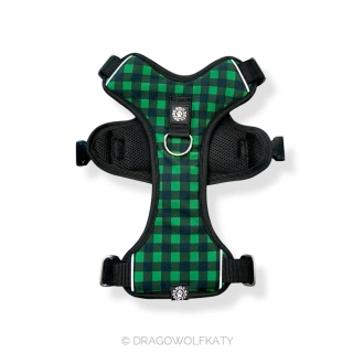 Postroj Street - Flanel Green