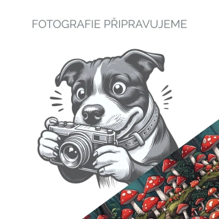 Pamlskovník Street - Muchomůrky