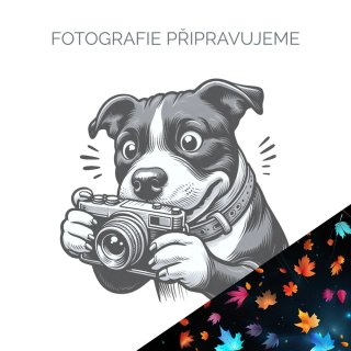 Pamlskovník Street - Podzim