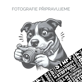 Pamlskovník Street - Staffbull word